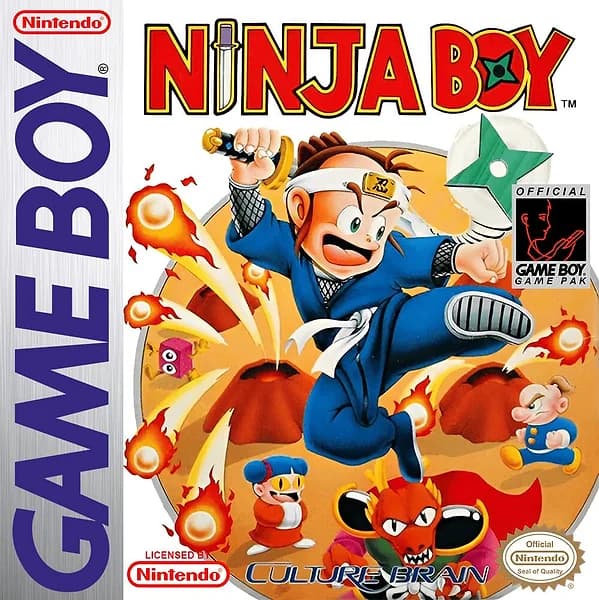 Ninja Boy box art