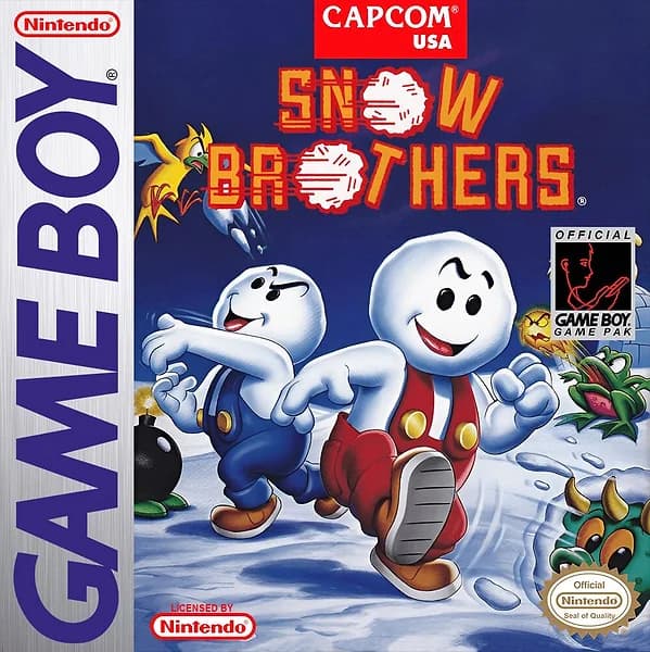 Snow Brothers Box Art
