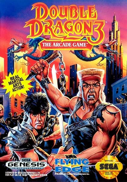 Double Dragon 3: The Arcade Game box art