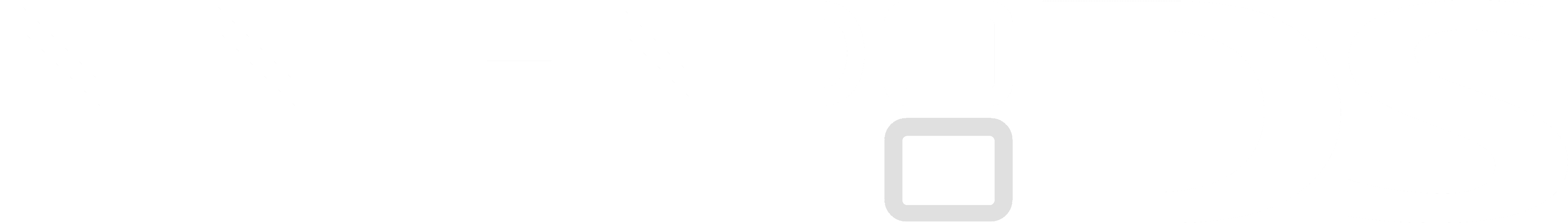 Nintendo DS Logo 